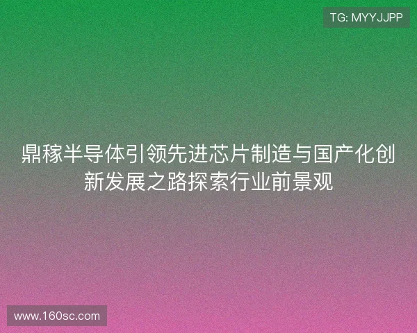 鼎稼半导体引领先进芯片制造与国产化创新发展之路探索行业前景观